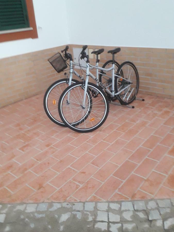 Alojamento Local Patudos, Suite Com Terraco Privado Тавира Экстерьер фото