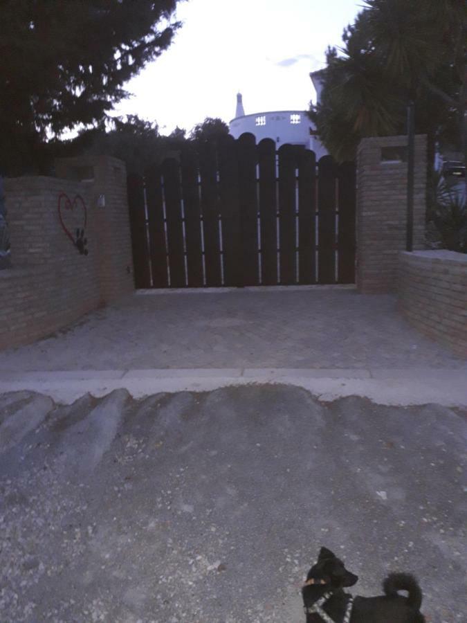 Alojamento Local Patudos, Suite Com Terraco Privado Тавира Экстерьер фото